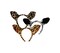 Beistle Club Pack of 12 Soft-Touch Jungle Animal Print Ear Headband Halloween Party Favors